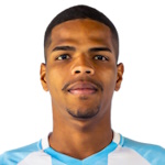 R. Mendes Araujo