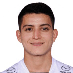 Y. Erique Villigua